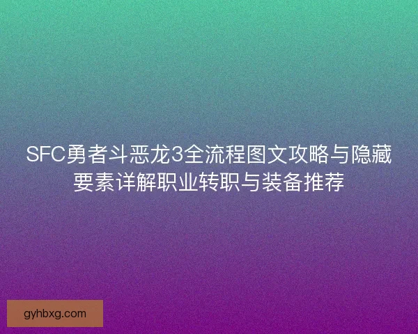 SFC勇者斗恶龙3全流程图文攻略与隐藏要素详解职业转职与装备推荐