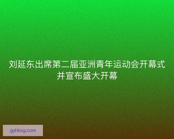 刘延东出席第二届亚洲青年运动会开幕式并宣布盛大开幕